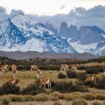 Chili : Les 12 spécialités à ne pas manquer !!
